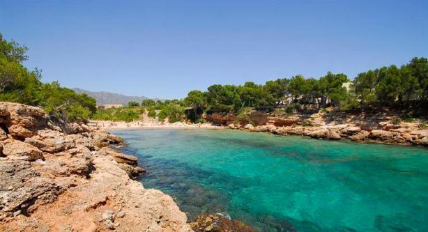 Apt. Con Piscina Interior En La Playa Alguer L'Ametlla de Mar Dış mekan fotoğraf